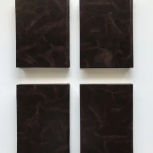 Budování státu 1-4, Ferdinand Peroutka