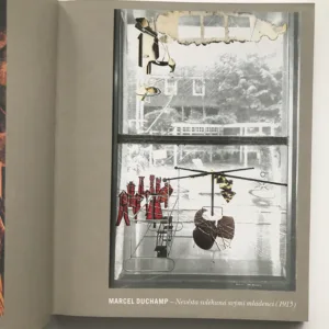 Gravitace avantgard (Imaginace a řeč avantgard v českých literárních textech první poloviny dvacátého století), Vladimír Papoušek