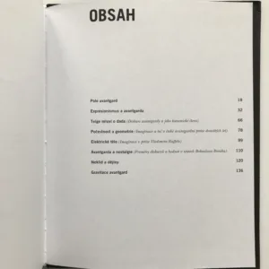 Gravitace avantgard (Imaginace a řeč avantgard v českých literárních textech první poloviny dvacátého století), Vladimír Papoušek