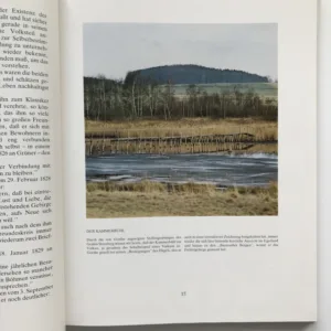 Goethe in Böhmen, Hermann Braun, Michael Neubauer