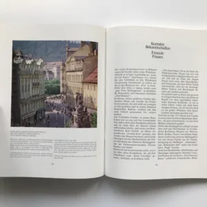 Goethe in Böhmen, Hermann Braun, Michael Neubauer