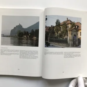 Goethe in Böhmen, Hermann Braun, Michael Neubauer