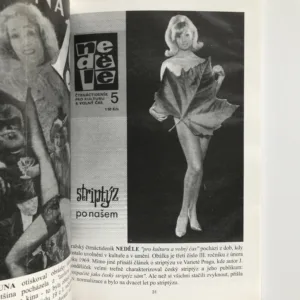 Příběh novin (Obrazy z dějin periodického tisku v Čechách), Miloslav Krist