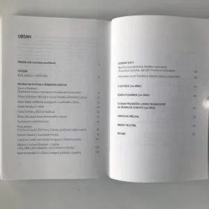 O literatuře a kultuře (Texty pro Šrámkovu Sobotku), Ludmila Budagovová