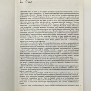 Škola paličkovania, Víťazoslav Mišík