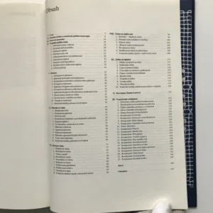 Škola paličkovania, Víťazoslav Mišík