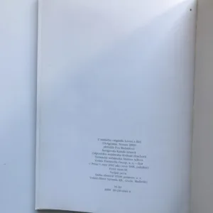 Filetové háčkování (Polštářky, dečky, bordury)