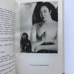 Poslední půlšilink (Román malíře), W. Somerset Maugham