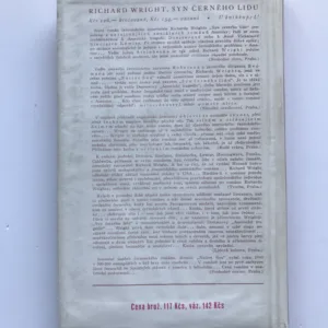 Poslední půlšilink (Román malíře), W. Somerset Maugham