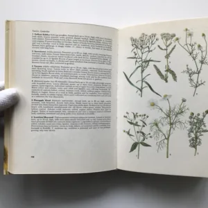 Plants and Animals, Jan Toman, Jiří Felix, Květoslav Hísek