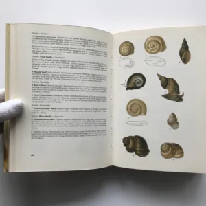 Plants and Animals, Jan Toman, Jiří Felix, Květoslav Hísek