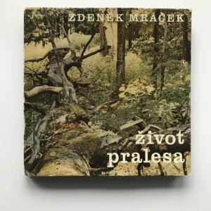 Život pralesa, Zdeněk Mráček