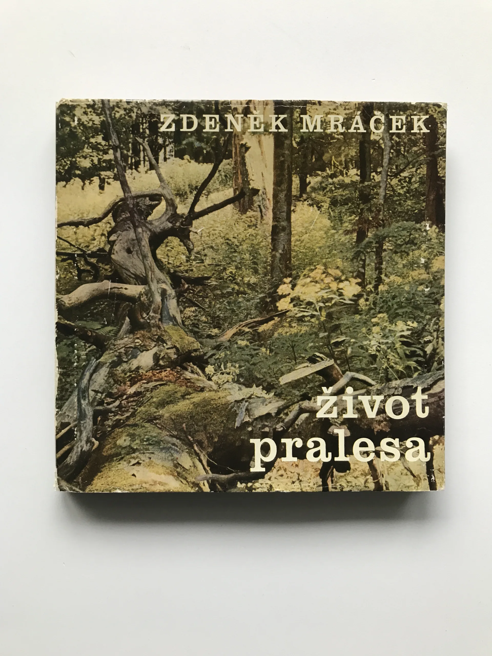 Život pralesa, Zdeněk Mráček