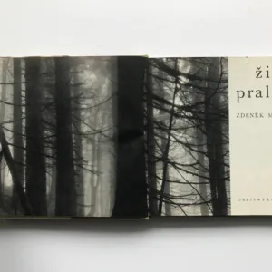 Život pralesa, Zdeněk Mráček