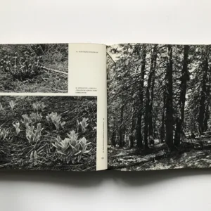 Život pralesa, Zdeněk Mráček