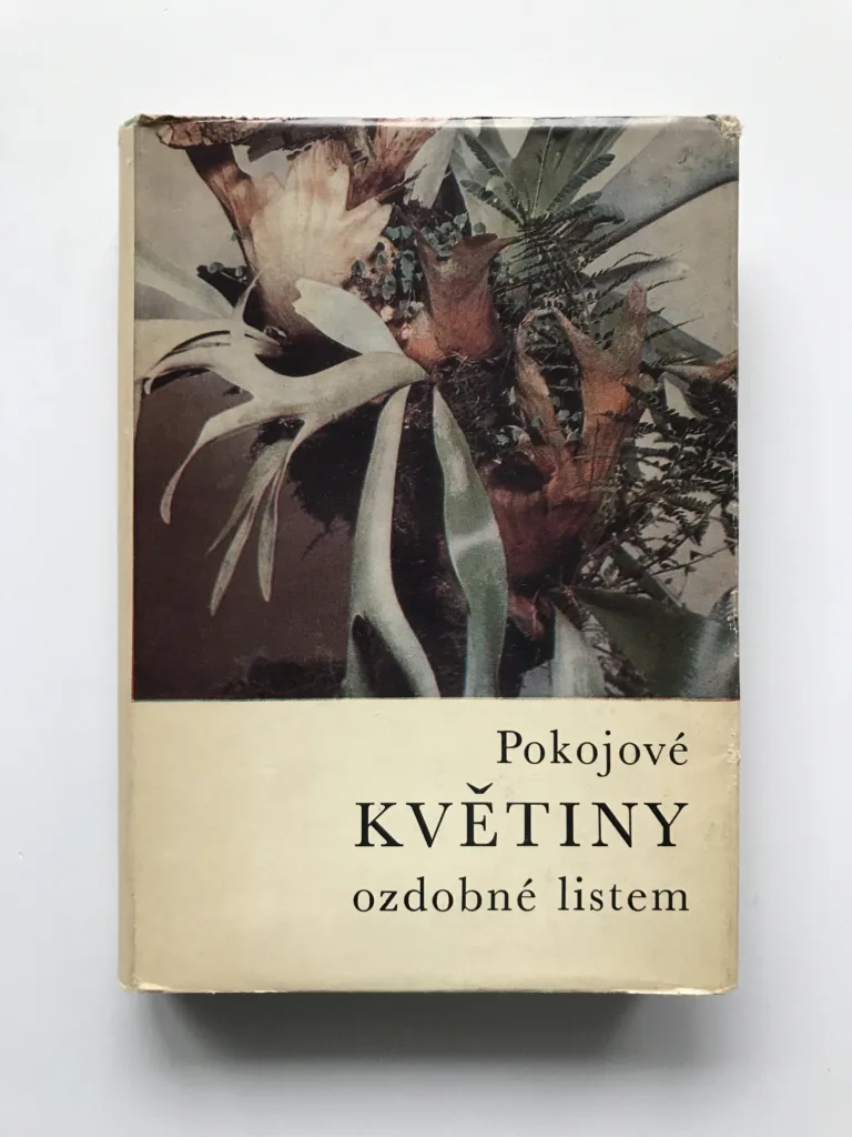 Pokojové květiny ozdobené listem, Karel Hieke