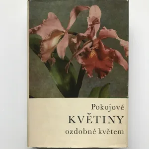 Pokojové květiny ozdobené květem, Karel Hieke