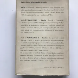 Pokojové květiny ozdobené květem, Karel Hieke