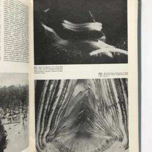 Praktická fotografie (Oborové encyklopedie), Petr Tausk