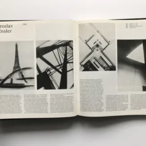 Příběh fotografie, Daniela Mrázková