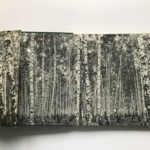 Подмосковье (Podmoskoví)