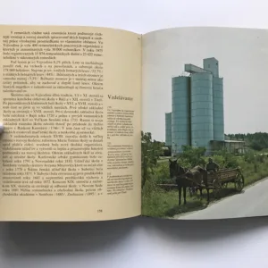 Vojvodina (Socialistická autonómna pokrajina), Nebojša Tomaševič, kolektiv autorů
