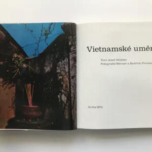 Vietnamské umění, Josef Hejzlar