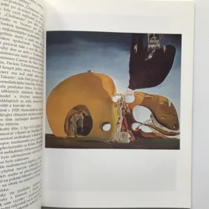 Salvador Dalí – Excentrik a génius, Conroy Maddox