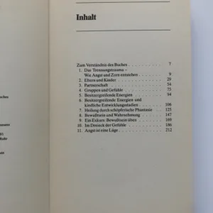 Die Heilung der Gefühle (Angst ist eine Lüge), Chris Griscom