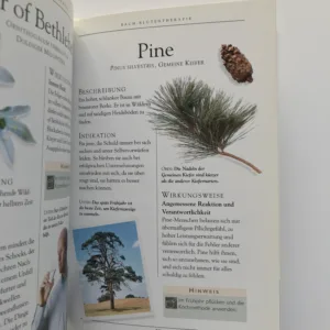 Bach-Blütentherapie, Non Shaw