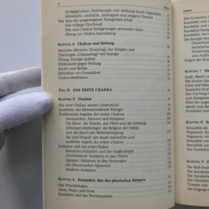 Das Geheimnis der Chakras (Unsere Licht- und Energiezentren), Rosalyn L. Bruyere