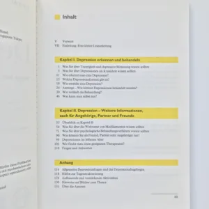 Depression (Wege aus der Krankheit)