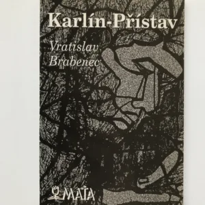 Karlín – Přístav, Vratislav Brabenec