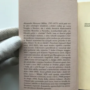 Příběh potupného sloupu, Alessandro Manzoni