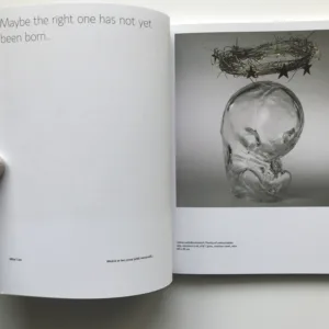 My Europe / Moje Evropa (Contemporary Czech Art and Design)