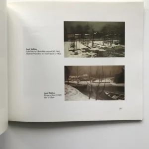 Civilizace (České umění čtyřicátých let), Alena Potůčková