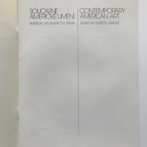 Současné americké umění / Contemporary American Art