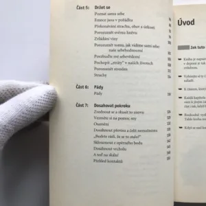 Jak zdolat skálu jménem deprese, Sue Atkinsonová,