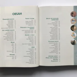 Zbavte se bolesti (Průvodce novými i tradičními metodami mírnění a léčby bolesti)
