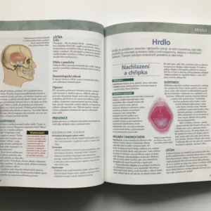 Zbavte se bolesti (Průvodce novými i tradičními metodami mírnění a léčby bolesti)