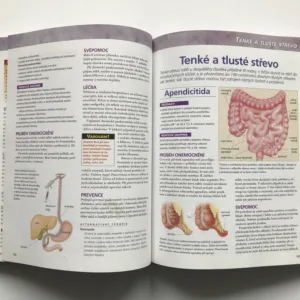 Zbavte se bolesti (Průvodce novými i tradičními metodami mírnění a léčby bolesti)