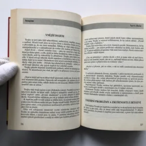 Eneagram (Poznejte sebe i jiné), Karen Webbová