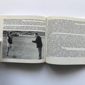 Dialogy za brankou, František Lukáš