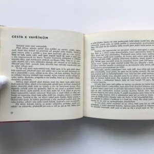 Zkrocené oktany, Jan Suchl