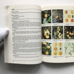 Citrusy od A do Z, 1. díl, Jiří Šamla