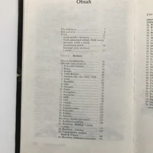 Revolvery a pistole, Alexandr Borisovič Žuk