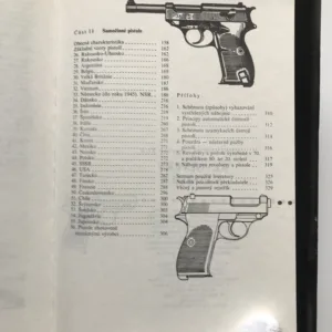 Revolvery a pistole, Alexandr Borisovič Žuk