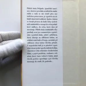 Indická princezna, Javier Moro,