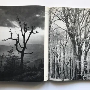 Má vlast, Vilém Heckel