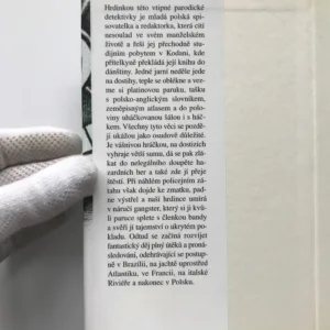 Zpráva od nebožtíka, Joanna Chmielewska